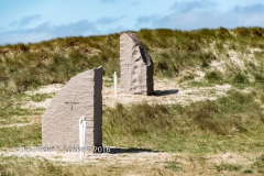 D-016667