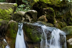 22_Fontaine-de-Vaucluse_F-005029