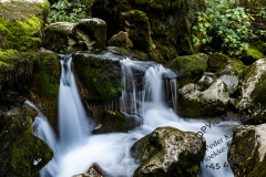 23_Fontaine-de-Vaucluse_F-005038