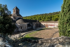 48_Abbaye-de-Sénanque_E-013372