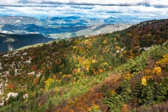 50_Mont-Ventoux_F-005319