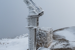 52_Mont-Ventoux_F-005322