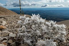 53_Mont-Ventoux_F-005332